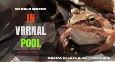 Wood Frogs' Duration in Vernal Pools: A Seasonal Survival Guide