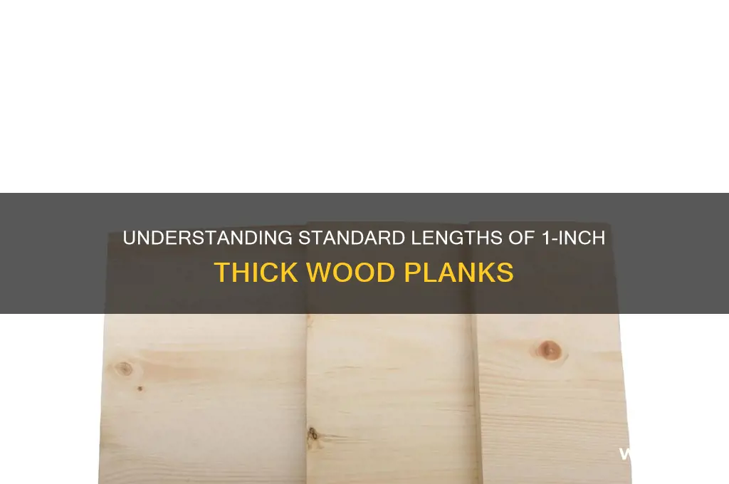 how long are wood planks 1