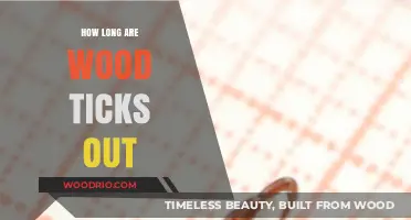 Understanding Wood Tick Season: Duration and Prevention Tips