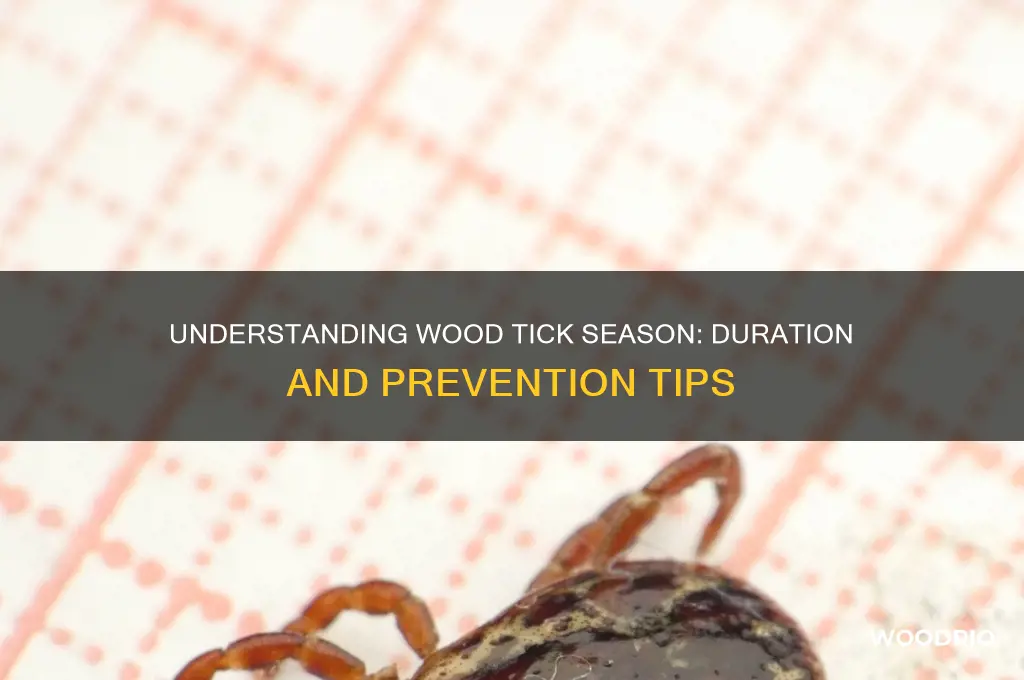 how long are wood ticks out