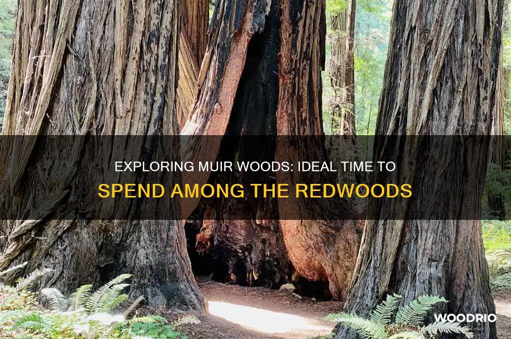 how long at muir woods