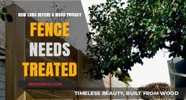 When to Treat Your Wood Privacy Fence for Longevity
