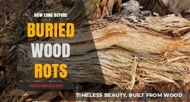 How Long Does Buried Wood Last Before Rotting Away?