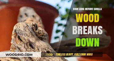 Cholla Wood Decomposition Timeline: Factors Affecting Breakdown Duration