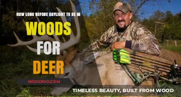 Pre-Dawn Deer Hunting: Timing Your Entry into the Woods