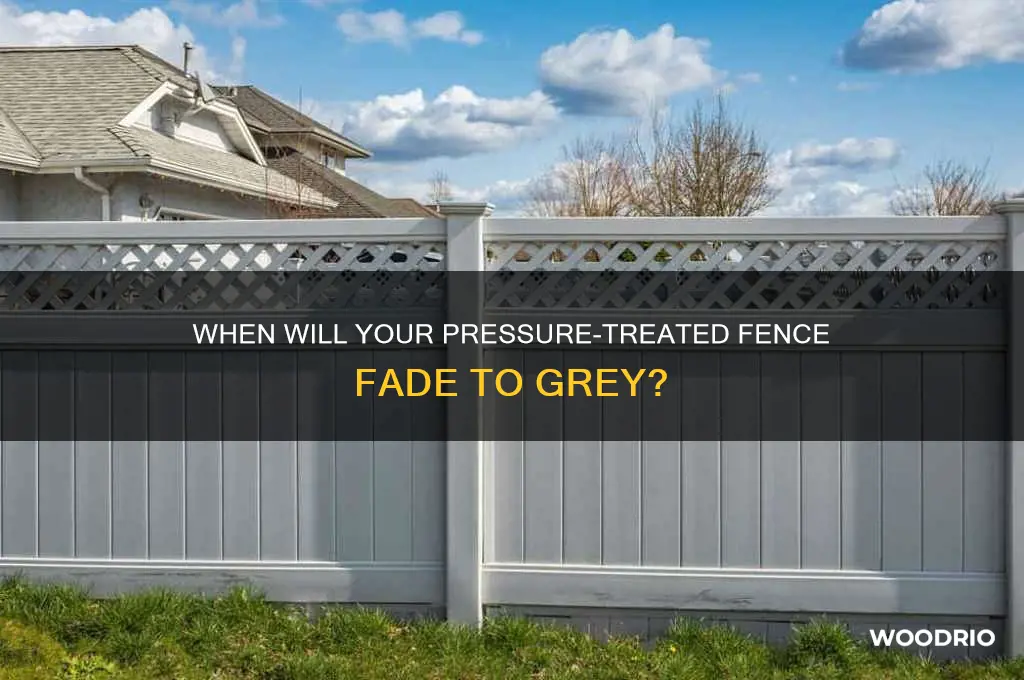 how long before my pressure treated wooden fence turns grey