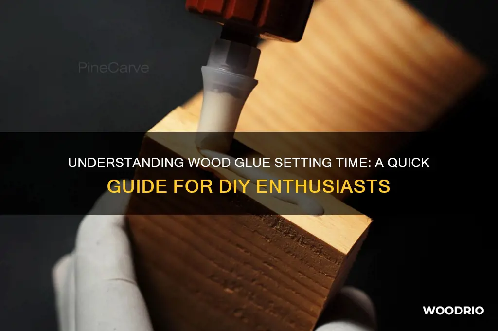 how long before normal wood glue sets