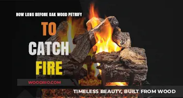 Oak Wood Petrification: Fire Risks and Timeframe Explained