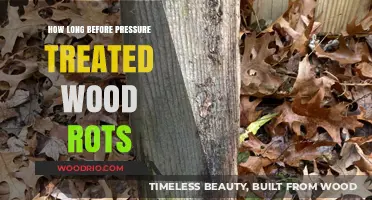Pressure Treated Wood Lifespan: Preventing Rot and Ensuring Durability