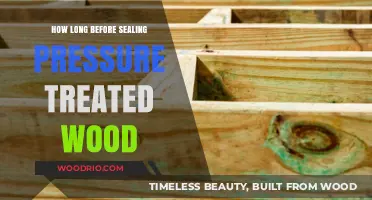Sealing Pressure Treated Wood: Optimal Timing for Long-Lasting Protection