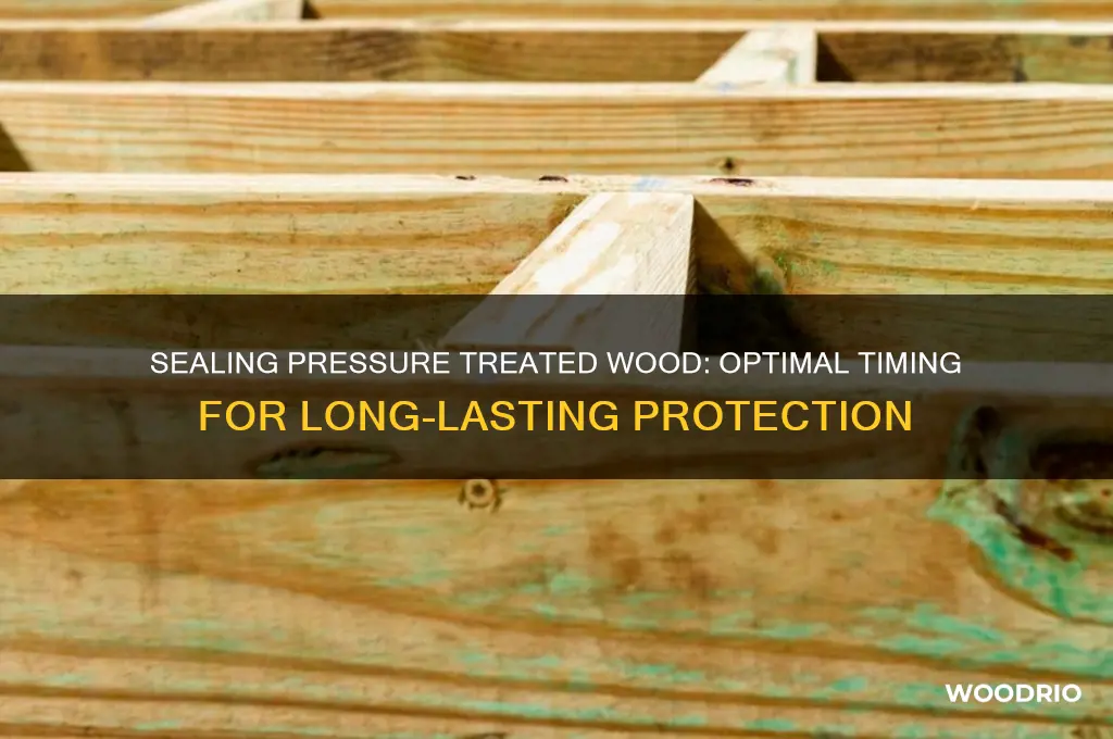 how long before sealing pressure treated wood