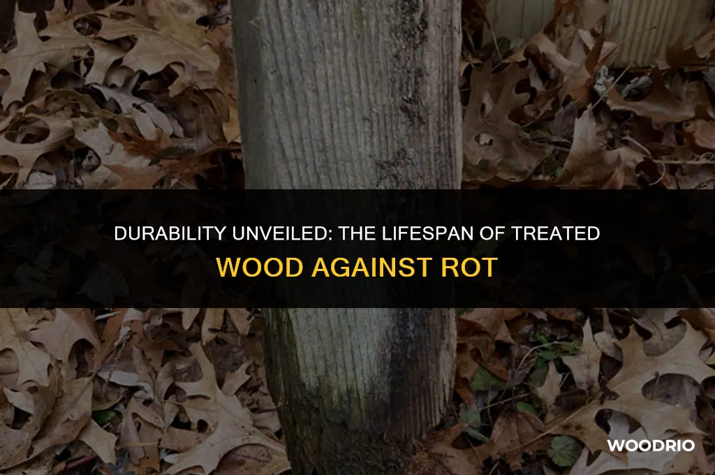 how long before treated wood will rot