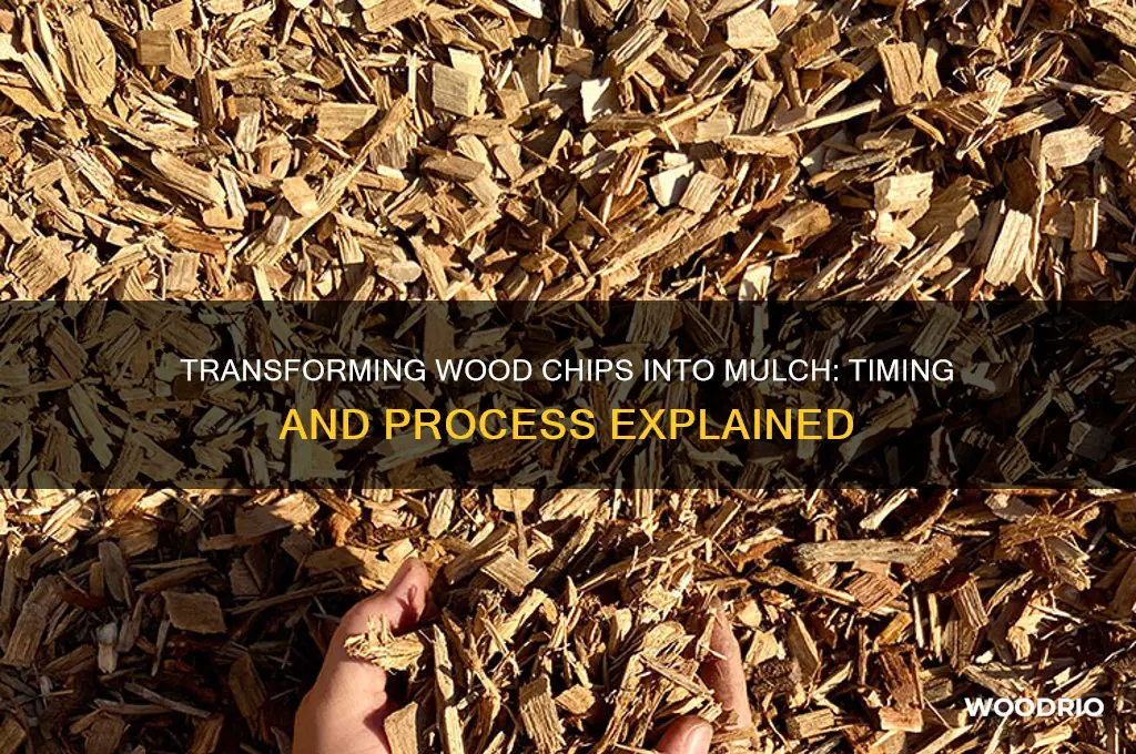 how long before wood chips are mulch