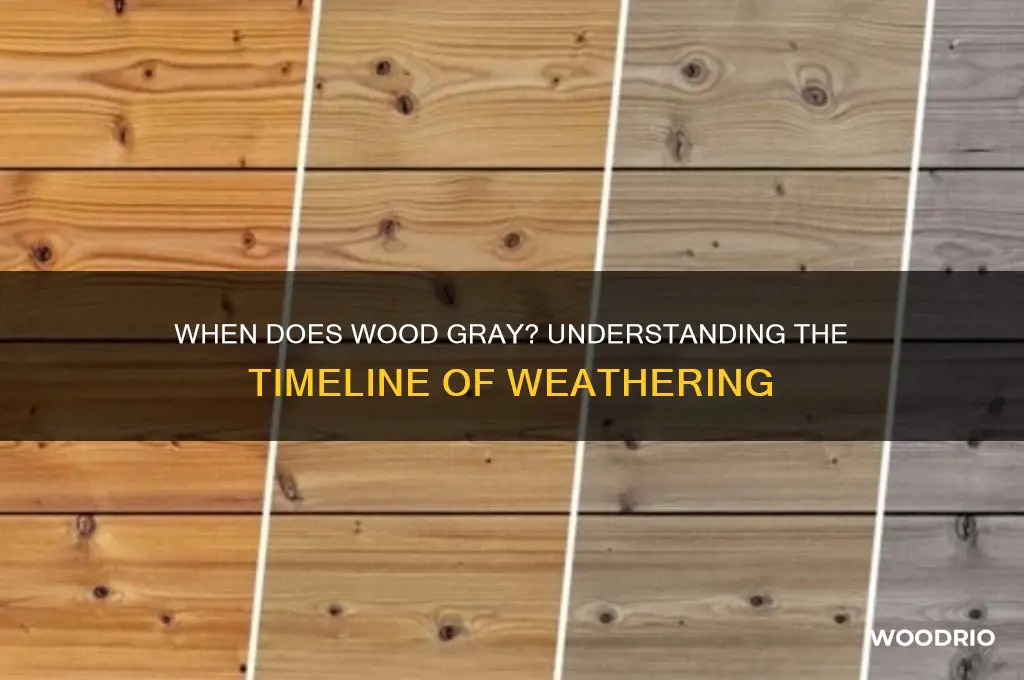how long before wood starts to gray