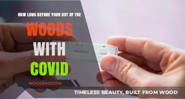 Navigating COVID Recovery: When Are You Truly Out of the Woods?