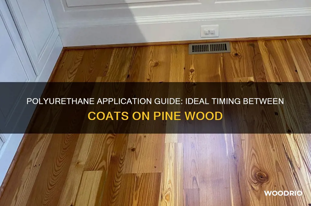 how long between coats of polyurethane on pine wood
