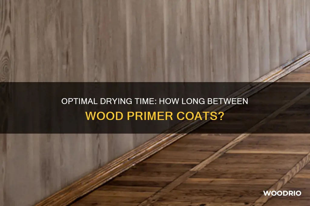 how long between wood primer coats