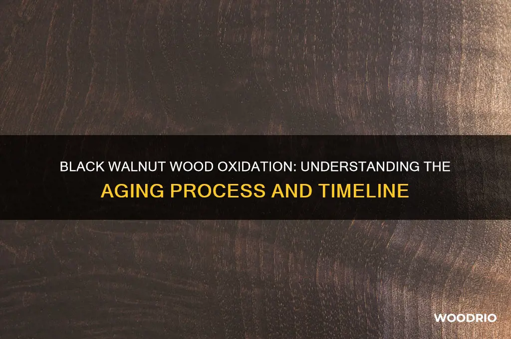 how long black walnut wood oxidised