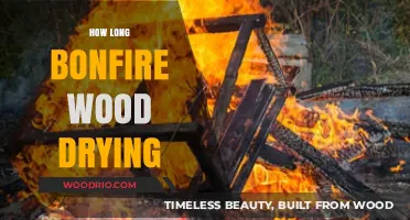 Perfect Bonfire Prep: Optimal Wood Drying Time for Crackling Fires