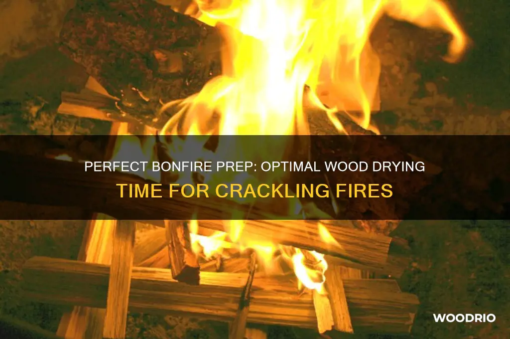 how long bonfire wood drying