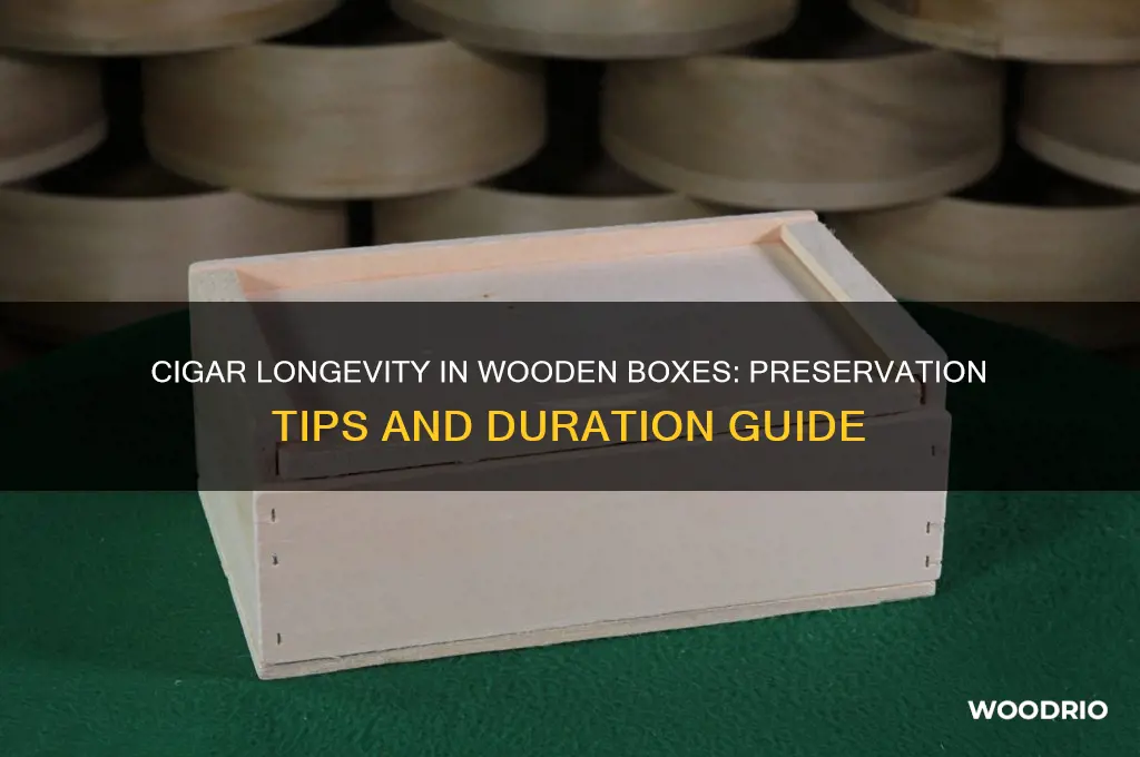 how long cigar lasts in wooden box