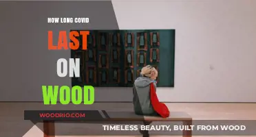How Long Does COVID-19 Survive on Wooden Surfaces?