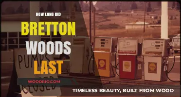 The Rise and Fall of Bretton Woods: A 27-Year Legacy