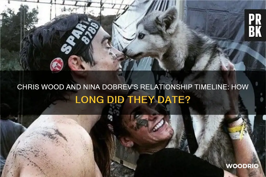 how long did chris wood and nina dobrev date