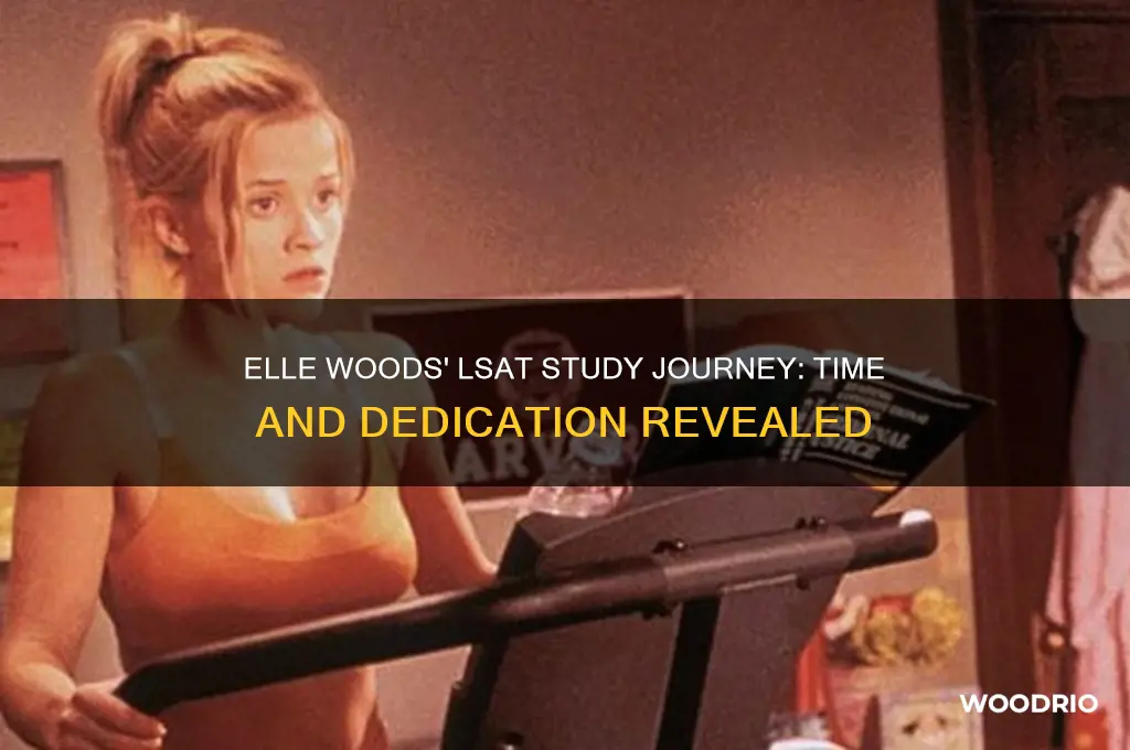 how long did elle woods study for lsat