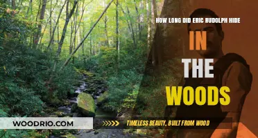 Eric Rudolph's Elusive Escape: Years Hidden in the Wilderness