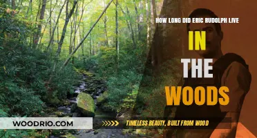 Eric Rudolph's Survival: Years Hidden in the Appalachian Wilderness