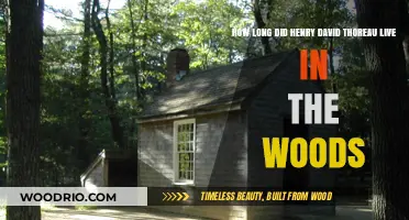 Thoreau's Walden Pond Retreat: Uncovering His Time in the Woods