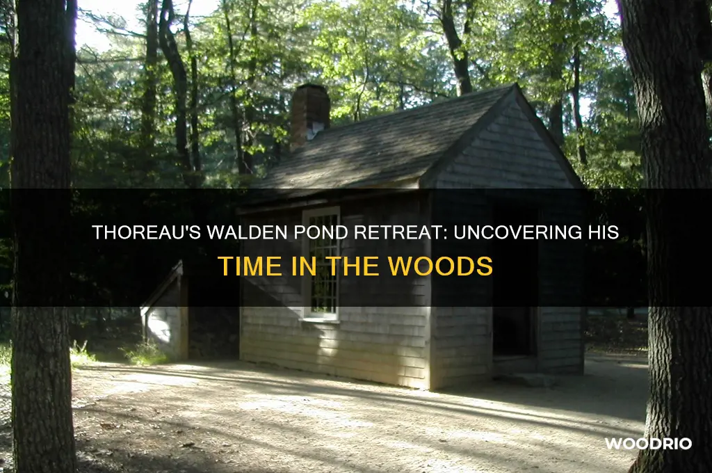 how long did henry david thoreau live in the woods