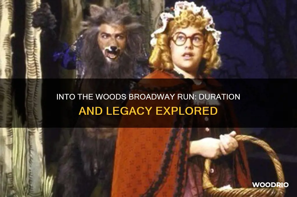 how long did into the woods run on broadway