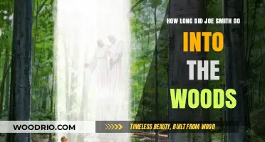 Joe Smith's Mysterious Journey: How Long Was He in the Woods?