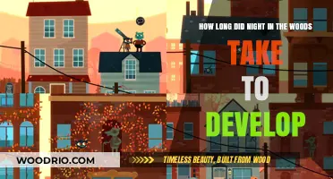 The Development Journey of Night in the Woods: Timeline Revealed