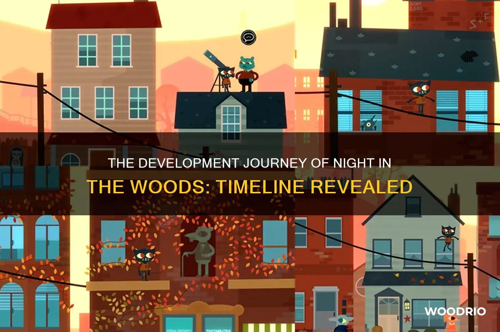 how long did night in the woods take to develop