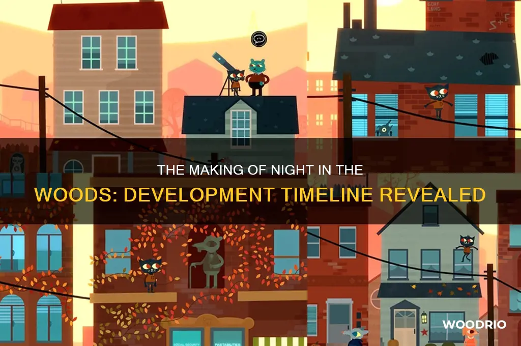 how long did night in the woods take to make