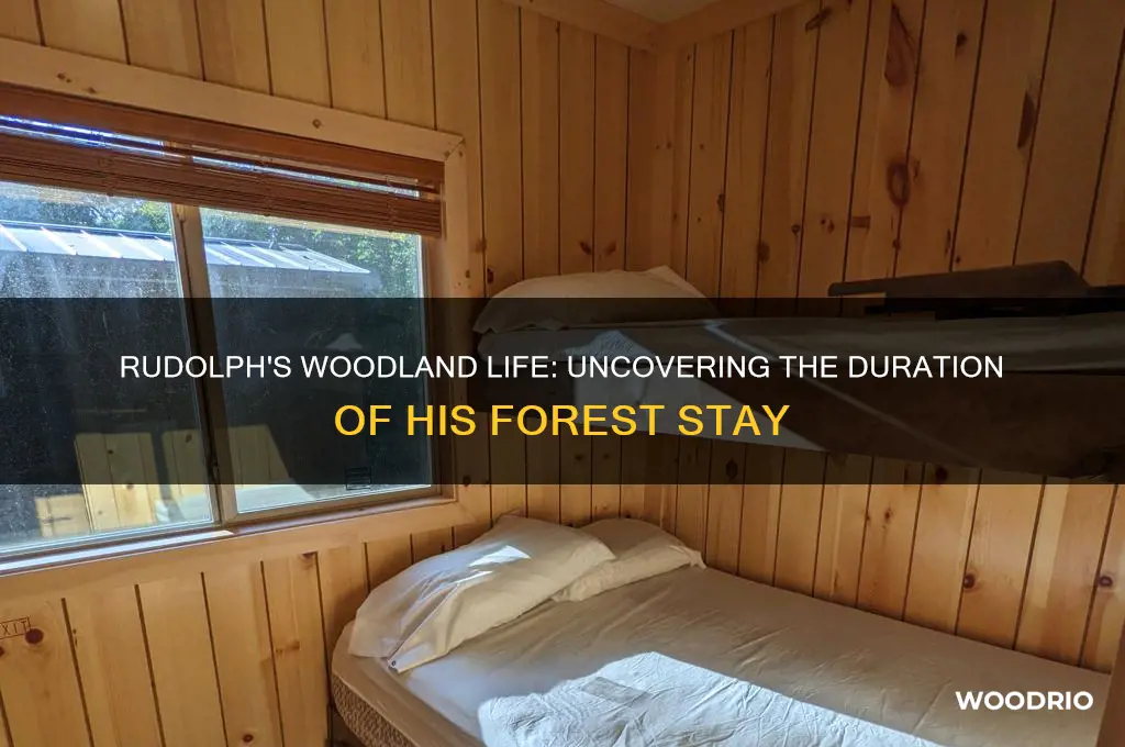 how long did rudolph live in the woods