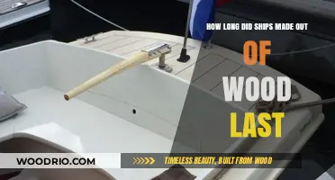 Wooden Ships' Lifespan: Durability and Maintenance Secrets Revealed