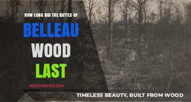 The Battle of Belleau Wood: Duration and Key Moments