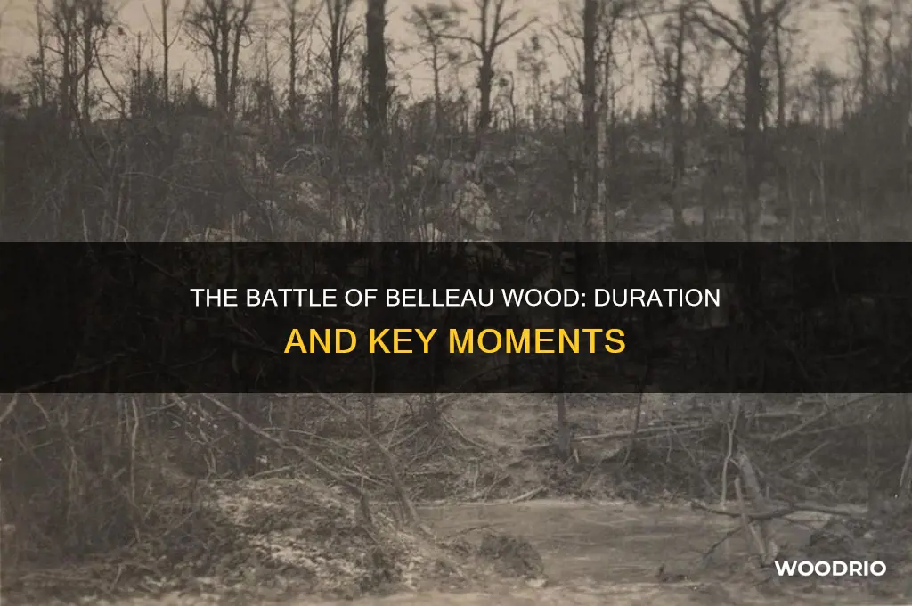 how long did the battle of belleau wood last