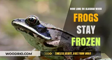 Alaskan Wood Frogs: Survival Secrets of Their Frozen Hibernation