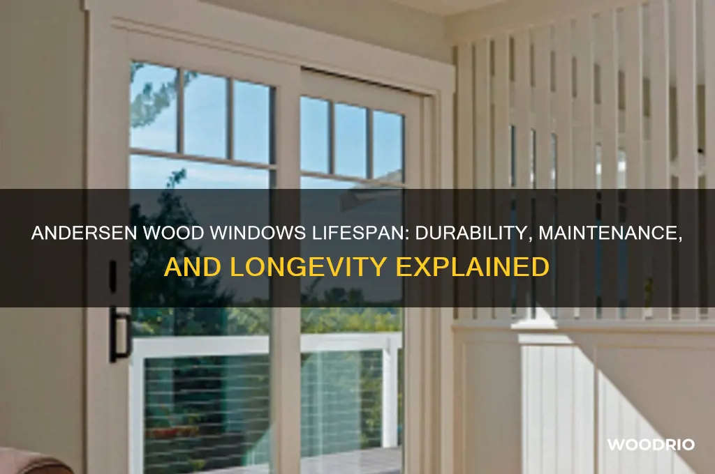 how long do andersen wood windows last