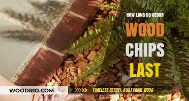 Cedar Wood Chips Lifespan: Durability and Longevity Explained
