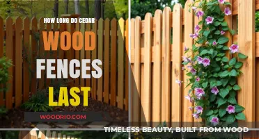 Cedar Wood Fence Lifespan: Durability, Maintenance, and Longevity Explained
