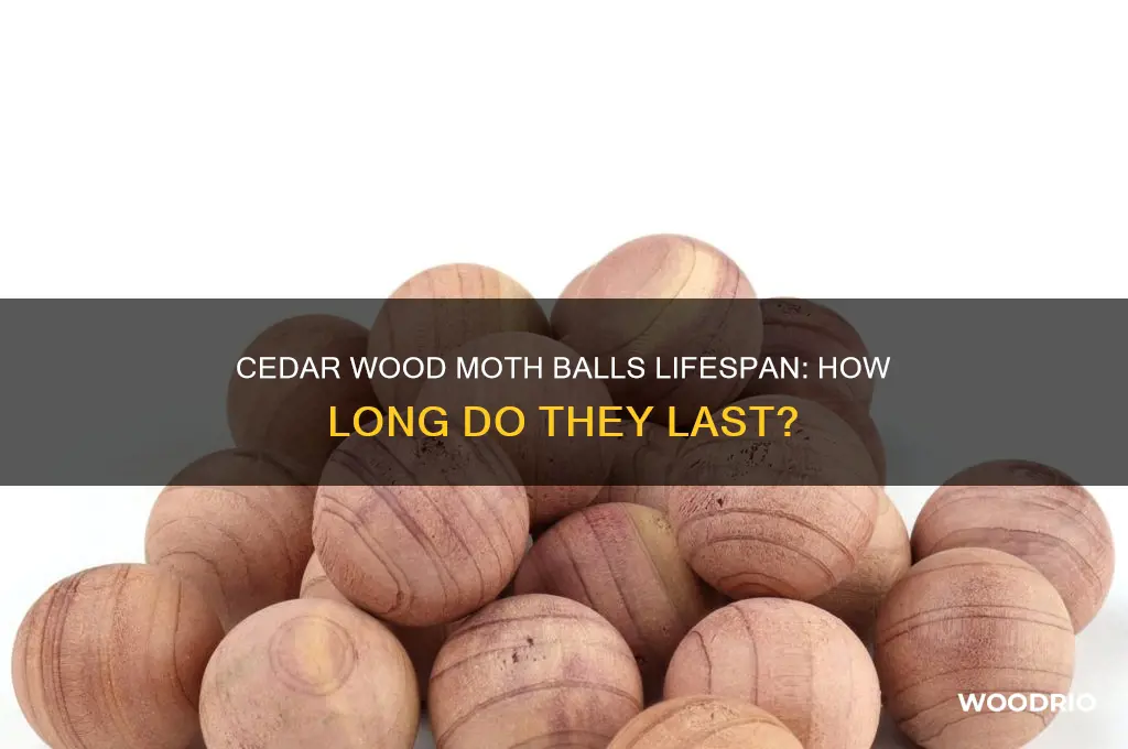how long do cedar wood moth balls last