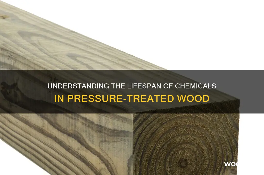 how long do chemicals stay in pressure treated wood