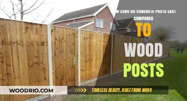 Concrete vs. Wood Posts: Durability and Lifespan Comparison Guide