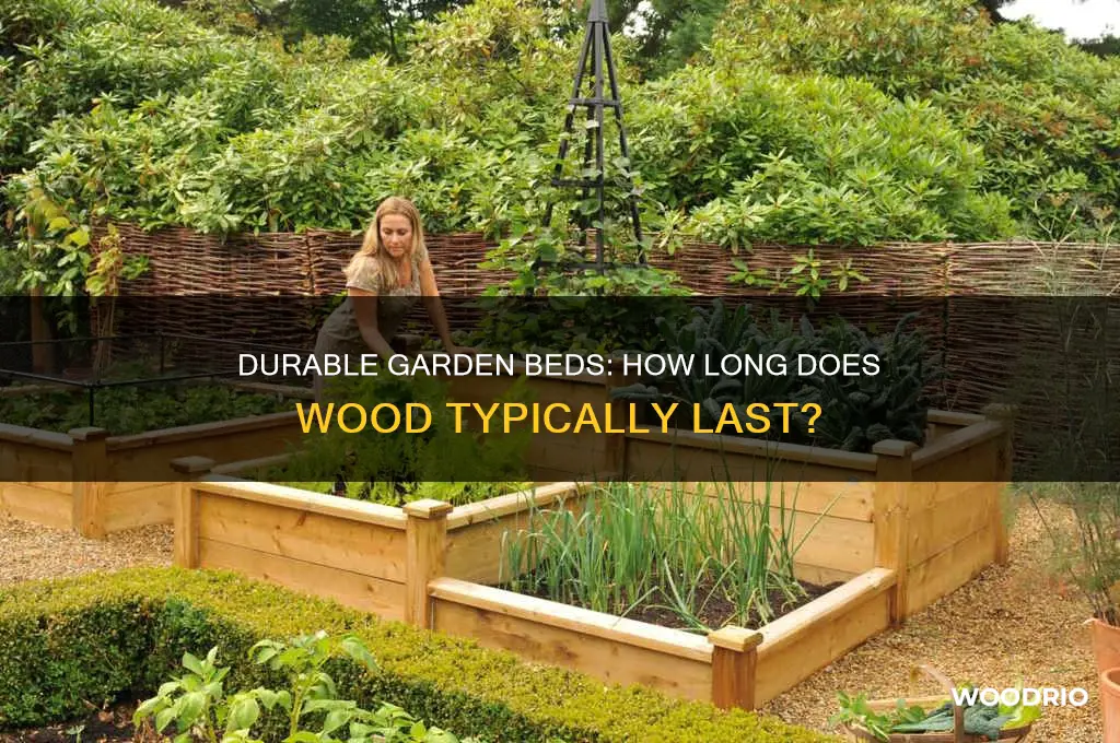 how long do garden beds last wood